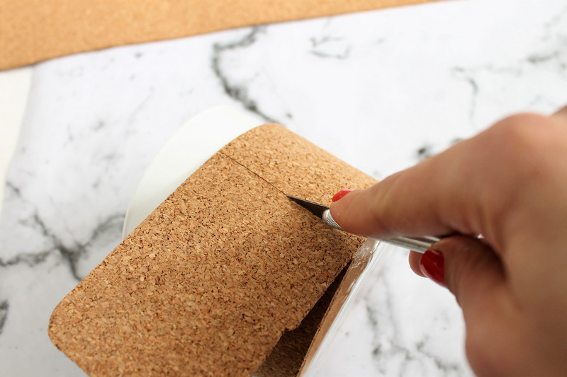 עציץ שעם - עשה זאת בעצמך 